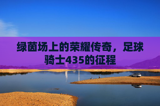 绿茵场上的荣耀传奇,足球骑士435的征程