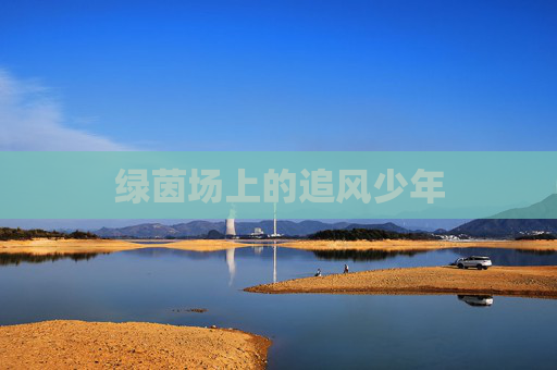绿茵场上的追风少年