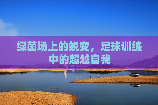 绿茵场上的蜕变，足球训练中的超越自我