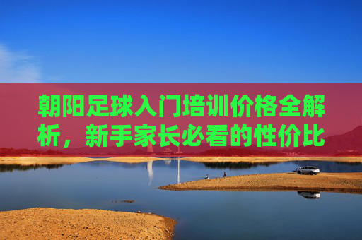 朝阳足球入门培训价格全解析,新手家长必看的性价比指南