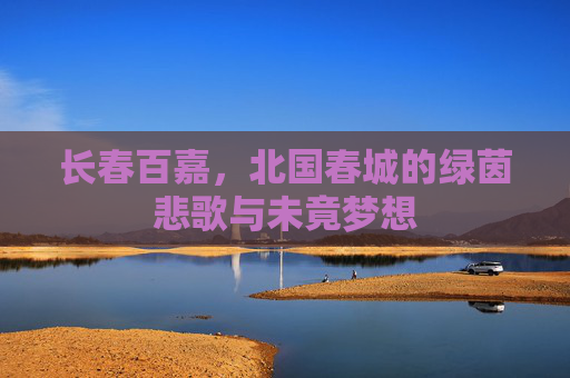 长春百嘉,北国春城的绿茵悲歌与未竟梦想