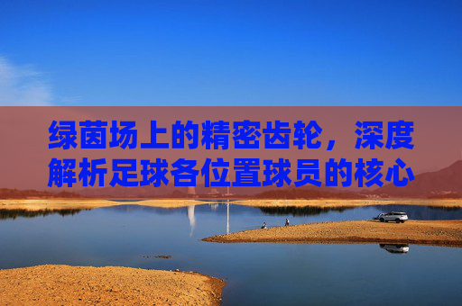 绿茵场上的精密齿轮，深度解析足球各位置球员的核心职责