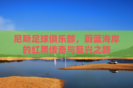 尼斯足球俱乐部，蔚蓝海岸的红黑传奇与复兴之路