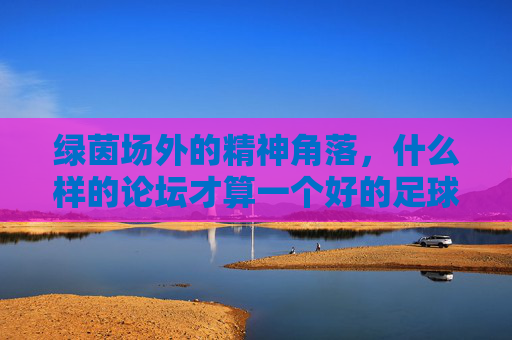 绿茵场外的精神角落,什么样的论坛才算一个好的足球论坛?