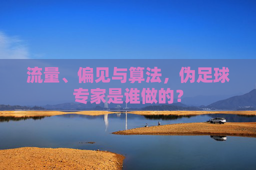 流量、偏见与算法,伪足球专家是谁做的?