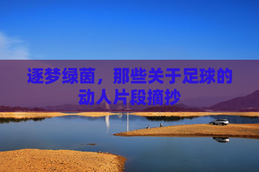 逐梦绿茵,那些关于足球的动人片段摘抄
