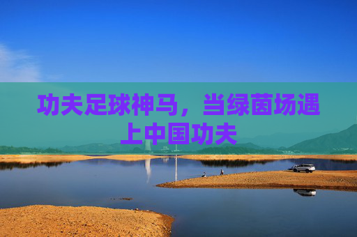 功夫足球神马，当绿茵场遇上中国功夫