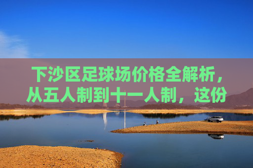 下沙区足球场价格全解析，从五人制到十一人制，这份攻略帮你省下球费