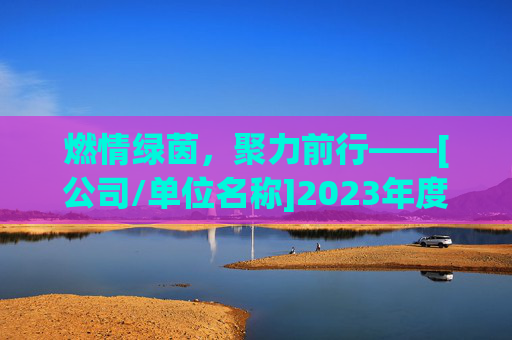 燃情绿茵，聚力前行——[公司/单位名称]2023年度足球活动总结范文