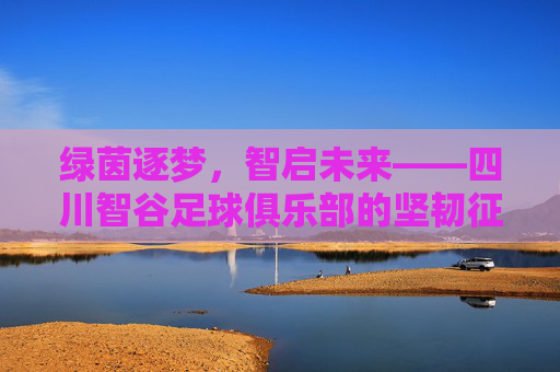 绿茵逐梦，智启未来——四川智谷足球俱乐部的坚韧征途