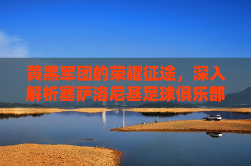 黄黑军团的荣耀征途,深入解析塞萨洛尼基足球俱乐部