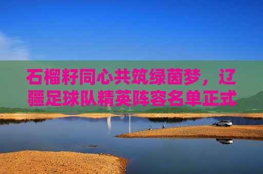 石榴籽同心共筑绿茵梦，辽疆足球队精英阵容名单正式揭晓
