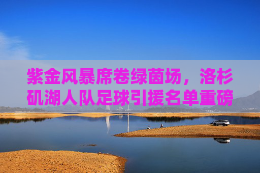 紫金风暴席卷绿茵场,洛杉矶湖人队足球引援名单重磅曝光