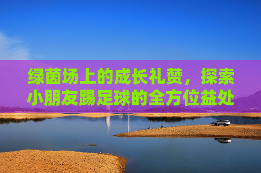 绿茵场上的成长礼赞,探索小朋友踢足球的全方位益处