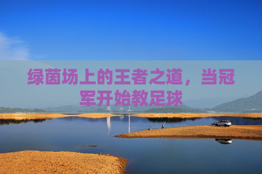 绿茵场上的王者之道,当冠军开始教足球