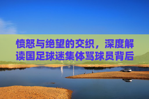 愤怒与绝望的交织,深度解读国足球迷集体骂球员背后的悲凉