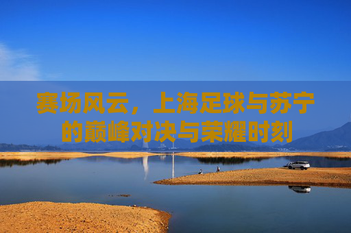 赛场风云,上海足球与苏宁的巅峰对决与荣耀时刻