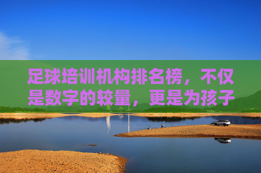 足球培训机构排名榜,不仅是数字的较量,更是为孩子选对的起点