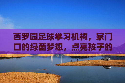 西罗园足球学习机构，家门口的绿茵梦想，点亮孩子的运动激情