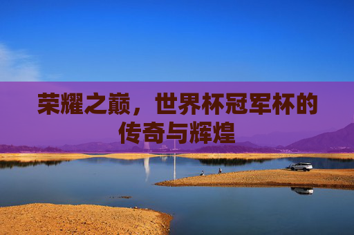 荣耀之巅，世界杯冠军杯的传奇与辉煌