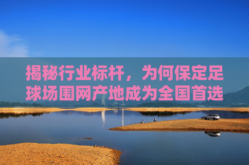 揭秘行业标杆，为何保定足球场围网产地成为全国首选？