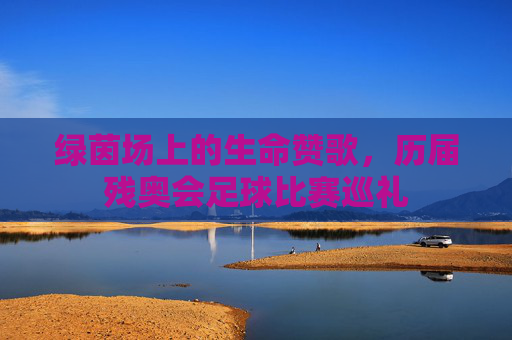 绿茵场上的生命赞歌，历届残奥会足球比赛巡礼