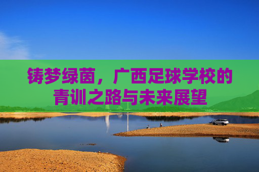 铸梦绿茵,广西足球学校的青训之路与未来展望