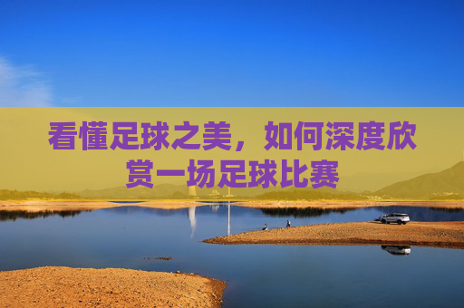 看懂足球之美,如何深度欣赏一场足球比赛