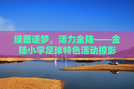 绿茵逐梦，活力金陆——金陆小学足球特色活动掠影
