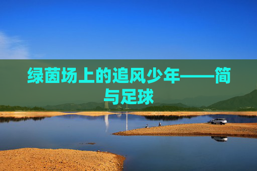 绿茵场上的追风少年——简与足球