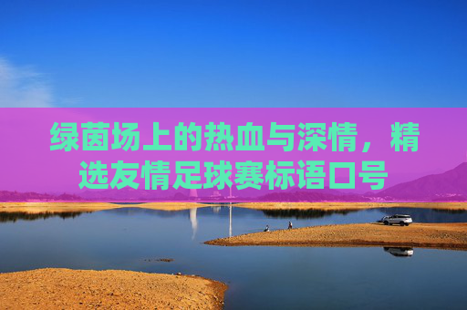 绿茵场上的热血与深情,精选友情足球赛标语口号