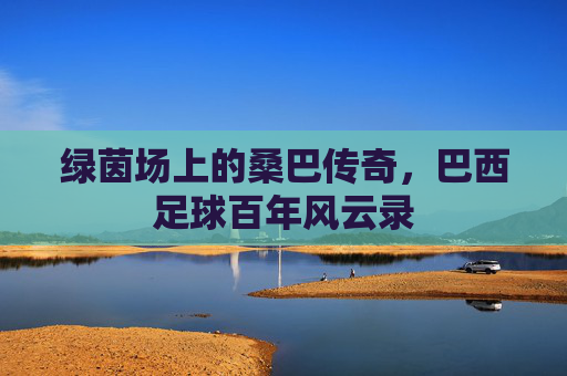 绿茵场上的桑巴传奇，巴西足球百年风云录