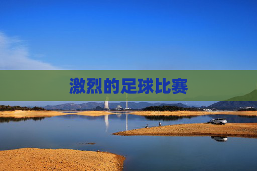 激烈的足球比赛