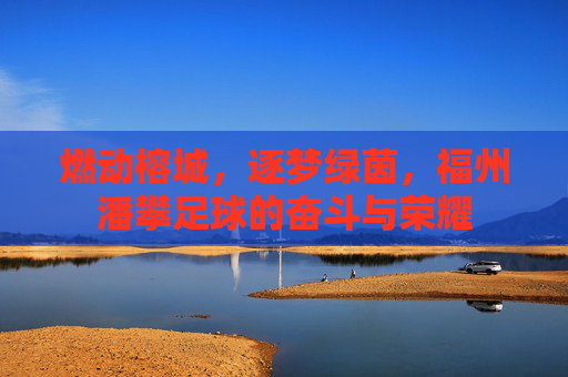 燃动榕城,逐梦绿茵,福州潘攀足球的奋斗与荣耀