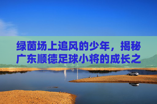 绿茵场上追风的少年,揭秘广东顺德足球小将的成长之路