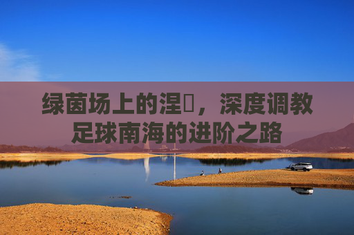 绿茵场上的涅槃,深度调教足球南海的进阶之路