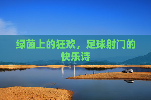 绿茵上的狂欢,足球射门的快乐诗