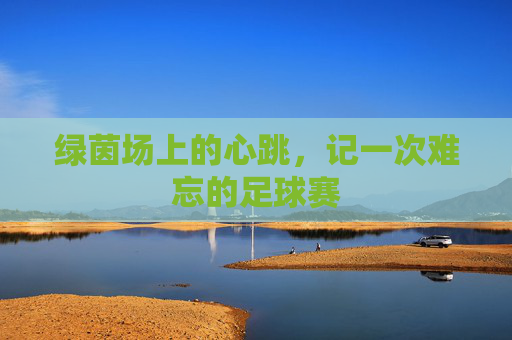 绿茵场上的心跳,记一次难忘的足球赛