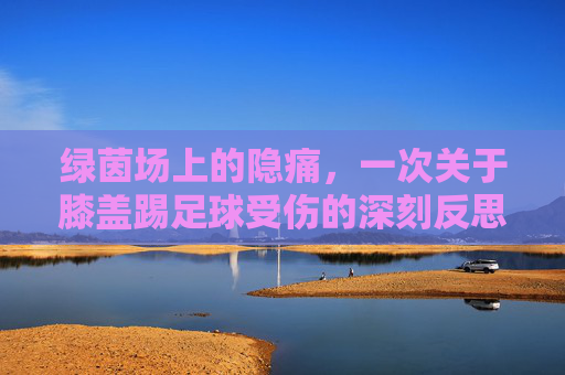 绿茵场上的隐痛,一次关于膝盖踢足球受伤的深刻反思与警示