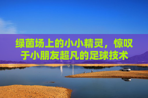 绿茵场上的小小精灵，惊叹于小朋友超凡的足球技术
