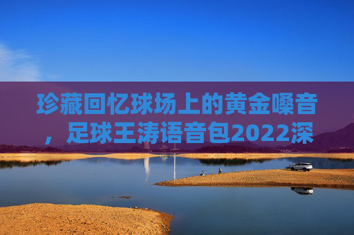 珍藏回忆球场上的黄金嗓音，足球王涛语音包2022深度解析