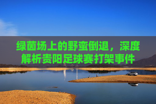 绿茵场上的野蛮倒退，深度解析贵阳足球赛打架事件