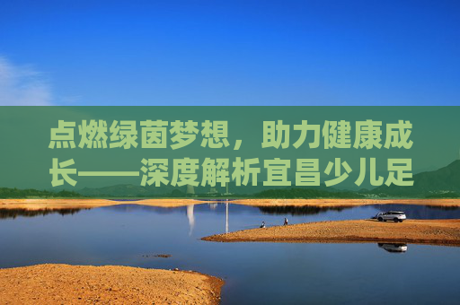 点燃绿茵梦想，助力健康成长——深度解析宜昌少儿足球培训班的价值