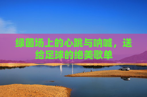 绿茵场上的心跳与呐喊，送给足球的绝美歌单