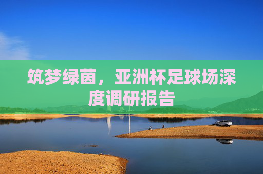 筑梦绿茵,亚洲杯足球场深度调研报告