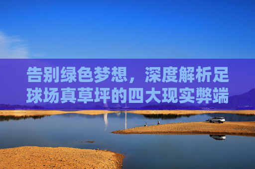 告别绿色梦想,深度解析足球场真草坪的四大现实弊端