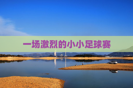 一场激烈的小小足球赛