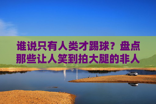 谁说只有人类才踢球?盘点那些让人笑到拍大腿的非人类搞笑足球名场面