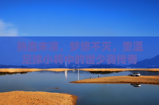 热血未凉，梦想不灭，重温足球小将中的世少赛传奇