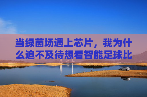 当绿茵场遇上芯片,我为什么迫不及待想看智能足球比赛